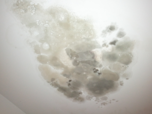 mold on ceilingAnderson