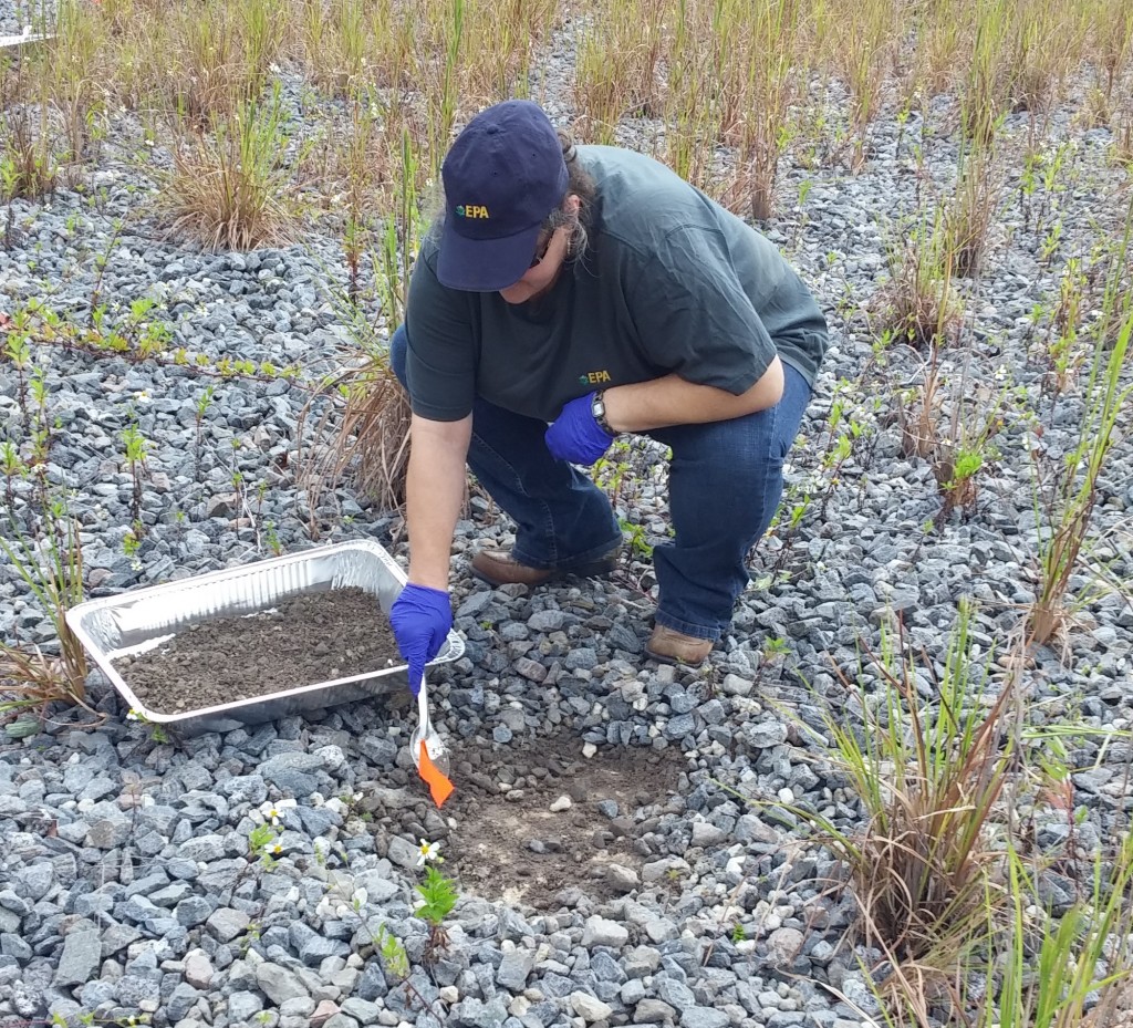 EPA's Felicia Barnett doing research