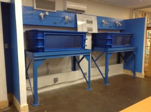 Prototype for Curtis' fish farm and vertical plant growing system that utilizes rain water as supplemental “make-up” for water that’s lost through transpiration.
