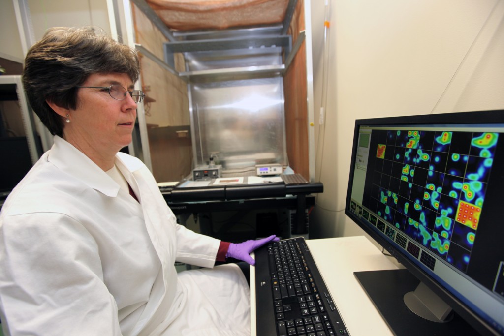 Shafer_Lab_02