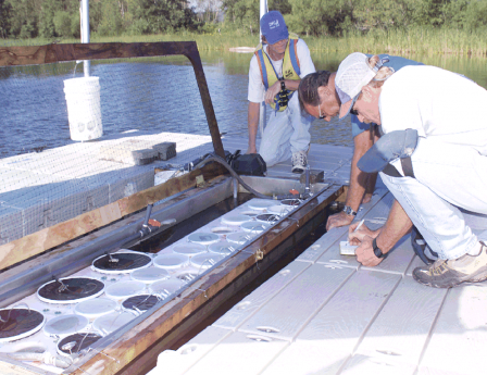 Scientists doing water research