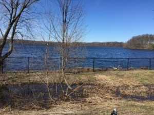 freshpond2016